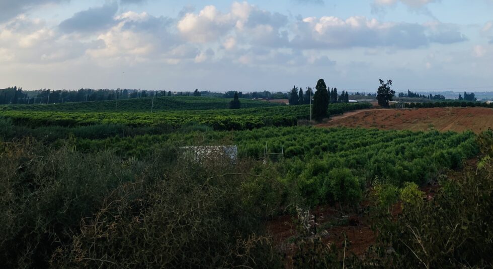 ברחבי ישראל - מקומות מעוצבים במיוחד