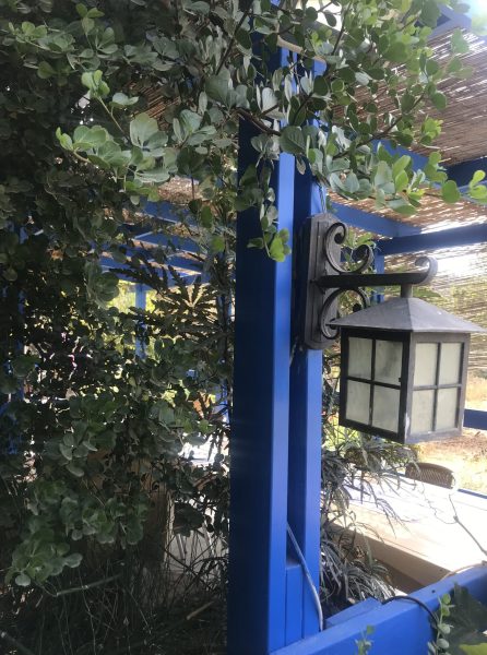 סוכת הגפנים במג’דה בעין רפא סוכת הגפנים במג'דה בעין רפא